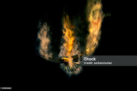 Abstract Nature Bird Of Prey Dispersion Effect Stock Photo - Download Image Now - Abstract ...