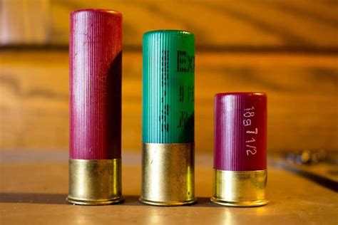 The Evolution and Benefits of Mini Shotgun Shells | True Shot Ammo