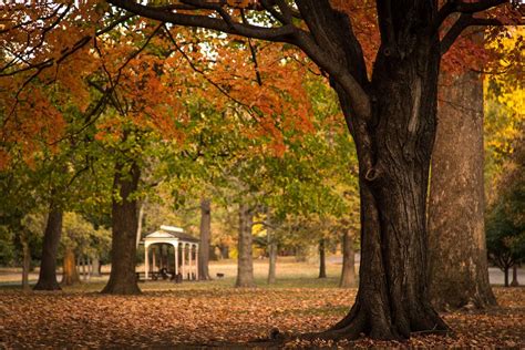 Where to Find the Best Fall Foliage in Missouri