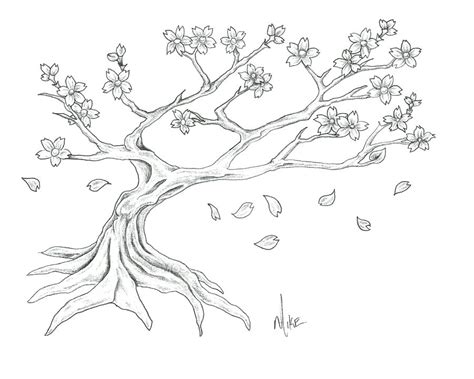 Blossom Tree Drawing at PaintingValley.com | Explore collection of Blossom Tree Drawing