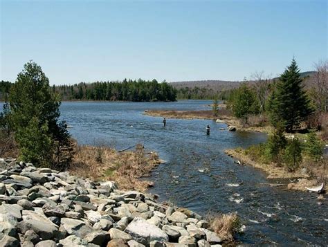 Moosehead Lake | Wildlife, Recreation, Fishing | Britannica