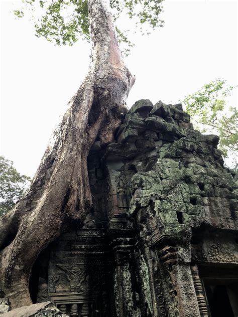 Ta Prohm: Tomb Raider location