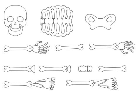 10 Best Large Printable Skeleton Template - printablee.com Skeleton Parts, Skeleton Face ...