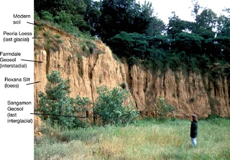 Photograph of loess and paleosols representing the last... | Download ...