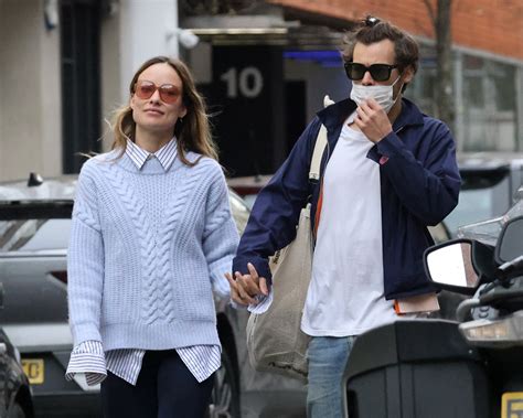 Why Did Harry Styles And Olivia Wilde Break Up?