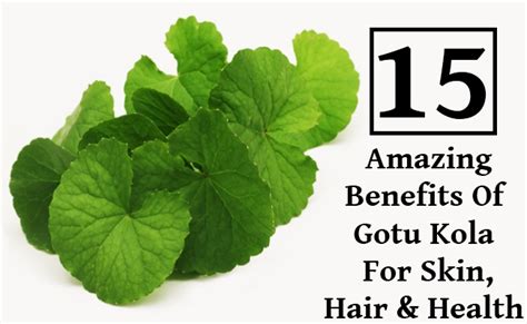 Gotu Kola Benefits Arthritis Diet - docinter