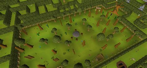 What Are The Best Teak Tree Spots in OSRS? – FandomSpot