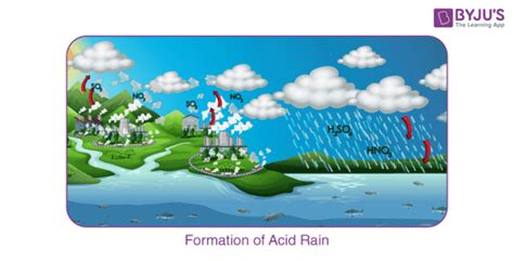 Acid Rain - Definition, Causes, Effects, Examples, Prevention , FAQS ...