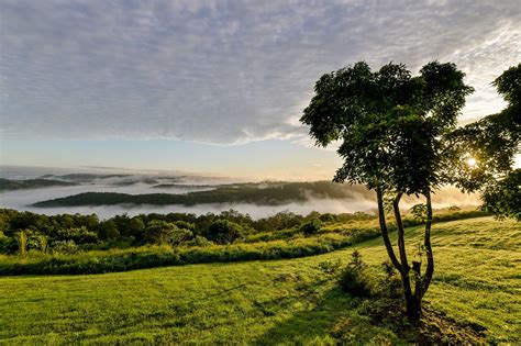 Tranquil, Maleny - Hinterland Tourism Sunshine Coast