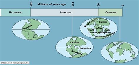 terraconvida: Estrutura e dinâmica interna da Terra - Deriva continental