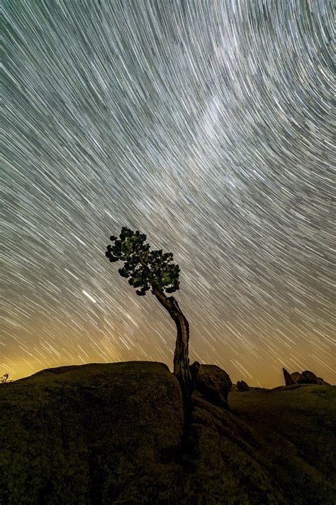 Joshua Tree, Star Trails [2000x3000] [OC] : r/EarthPorn