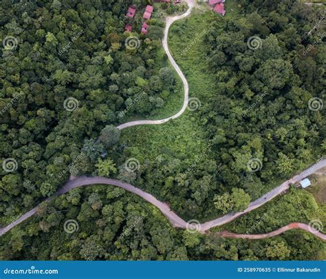 Road through the Green Rainforest. Aerial Top View Forest with Small ...