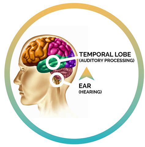 What is Auditory Processing Disorder (APD, CAPD)?