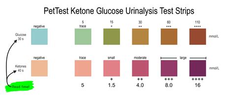 How to Read Urine Test Strips - PetTest by Advocate