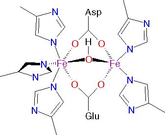 Other Oxygen Binding Proteins and Metals in Biochemistry