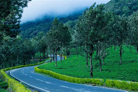 Nilgiris reopen for tourists after staying closed for eight months ...