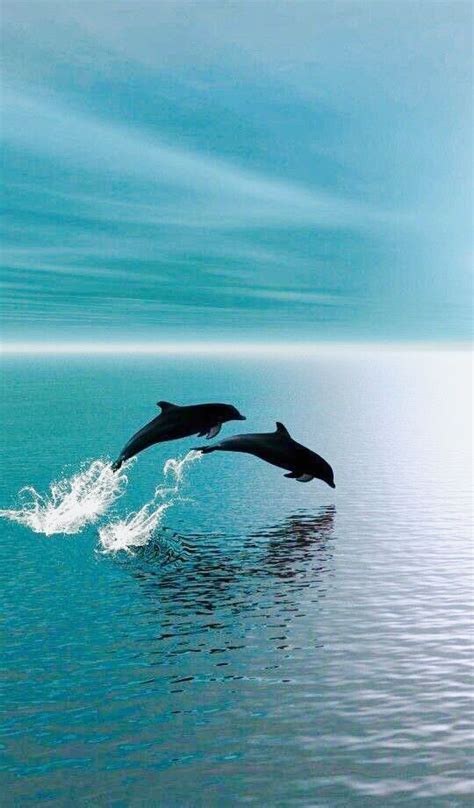 How I imagine the dolphins in #EternalSeas #mg #kidsbooks #adventure viewbo #Adventure #dolphins ...