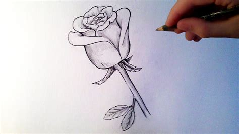 Comment dessiner une rose [Tutoriel] | Roses drawing, Sketches easy, Flower sketch pencil