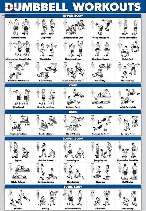 Palace Learning Dumbbell Workout Exercise Poster - Laminated - Free Weight Body Building Guide ...