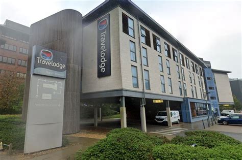 Two Persian kittens on the 2022 Travelodge Lost & Found audit for Borehamwood hotels - HertsLive