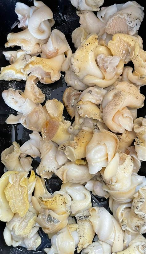 Pot of Fresh Whelks - Pengellys Fishmongers of Looe