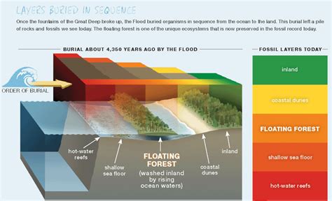 “Sedimentary Layers Show Millions of Years of Geological Activity.” | Answers in Genesis