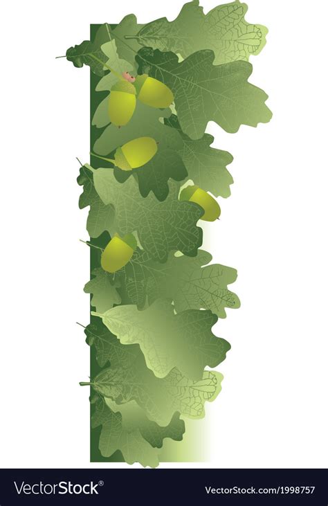 Oak leaves and acorns background Royalty Free Vector Image