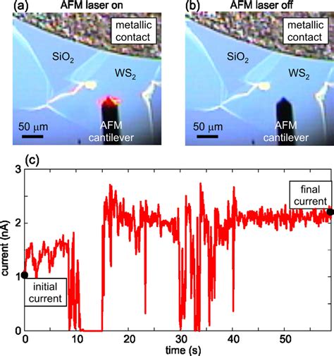 The top view of the AFM cantilever with the red AFM laser switched (a ...