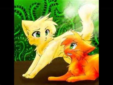 Firestar and Sandstorm - WARRIOR CATS Fan Art (39323424) - Fanpop