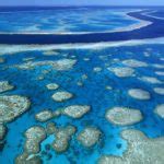 Sylvia Earle: Ocean Ecosystem Sustainability By 2050 | WilderUtopia.com