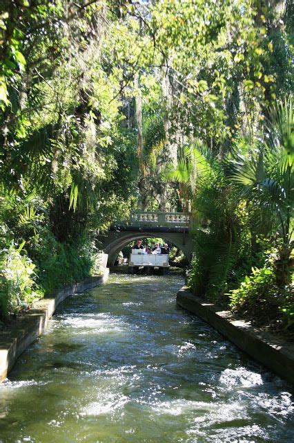 Amy's Creative Pursuits | Winter park florida, Florida vacation, Florida water parks
