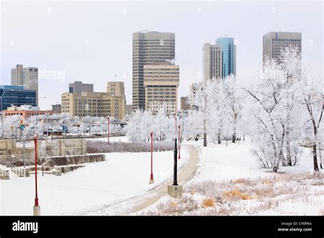 Winnipeg skyline on a scenic winter day. Trees covered in snow and ...