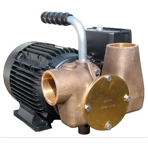 Utility P80 Waste Oil Pump 1000cSt | Commercial Fuel Solutions