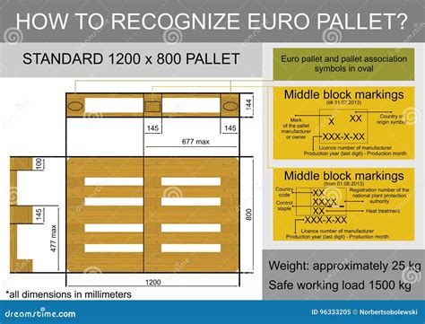 Euro pallet infographics stock vector. Illustration of industrial - 96333205