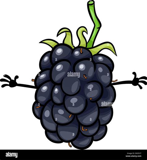 funny blackberry fruit cartoon illustration Stock Vector Image & Art ...