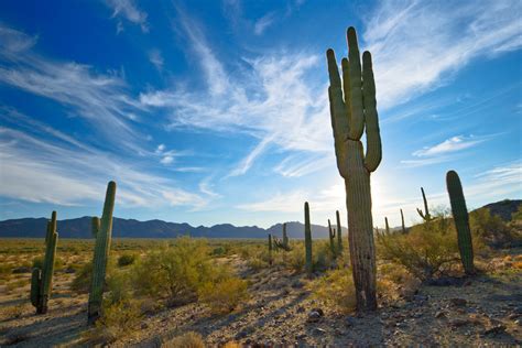 Sonoran Desert National Monument, Part One - Shawn Beelman Photography