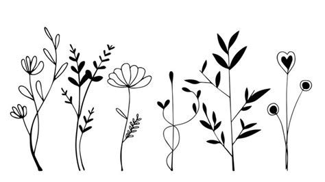 Flower Clipart Black And White Images – Browse 37,364, 60% OFF