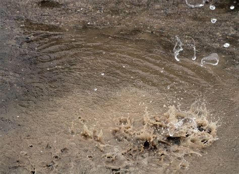 Splashing in a mud puddle stock photo. Image of funny - 6137118