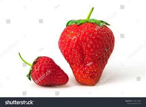 5,878 Strawberry Size Images, Stock Photos & Vectors | Shutterstock