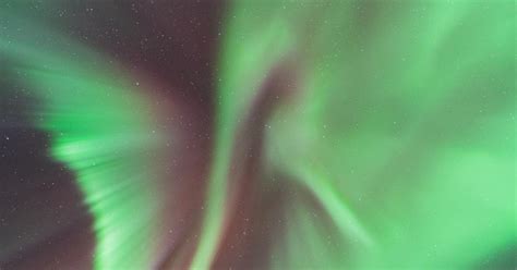 Fairbanks: Aurora Borealis Northern Lights Tour | GetYourGuide