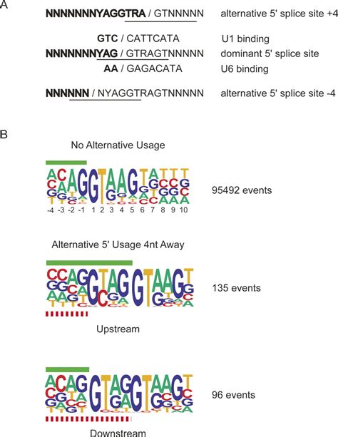 Genomic splice-site analysis reveals frequent alternative splicing ...