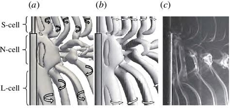 Vortex shedding in the wake behind a step cylinder. (a) Isosurfaces of... | Download Scientific ...