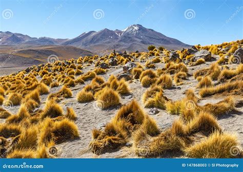 Catena Montuosa Delle Ande in Bolivia, Sudamerica Immagine Stock - Immagine di colorato ...