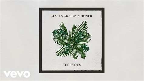 The Bones (Remix) by Maren Morris and Hozier - Samples, Covers and Remixes | WhoSampled