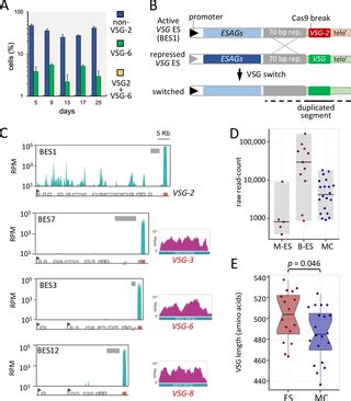 Competition among variants is predictable and contributes to the antigenic variation dynamics of ...