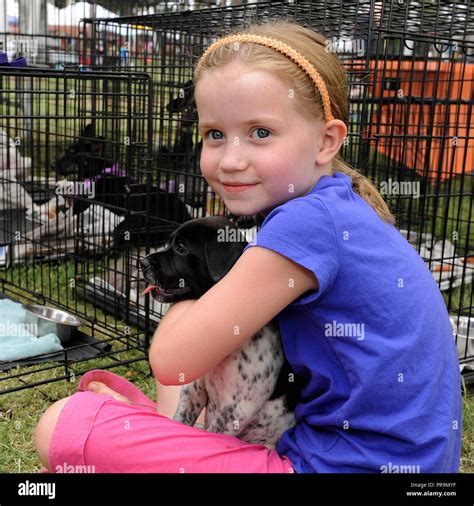 Hall county animal shelter hi-res stock photography and images - Alamy