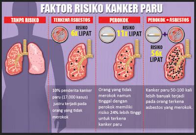 Hindari Penyakit Kanker Paru Paru Dengan Pola Hidup Sehat ~ Info Lengkap Semua Penyakit