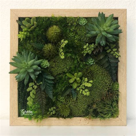 Moss and Fern Art Fern Moss Wall Art Wall Moss Art | Etsy