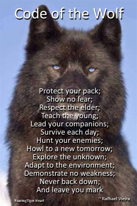 Warrior Wolf Quotes - ShortQuotes.cc