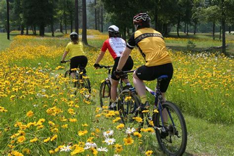 Biking4 - Alabama Recreation Trails